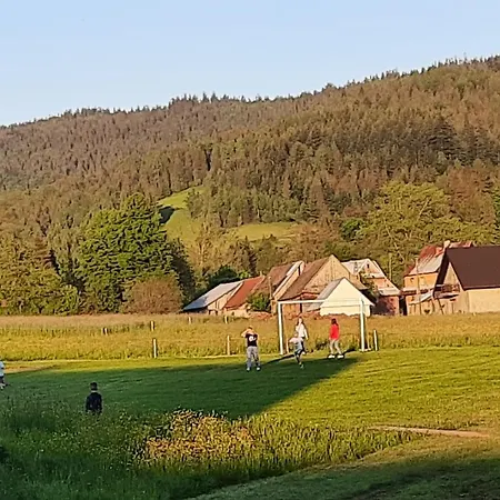 Na Szlaku Rikardo *