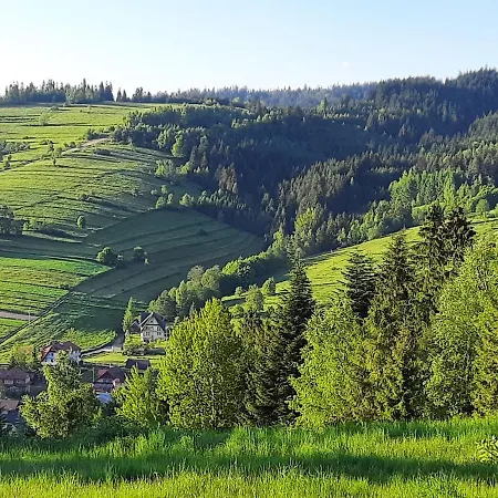 Na Szlaku Rikardo * Ponice