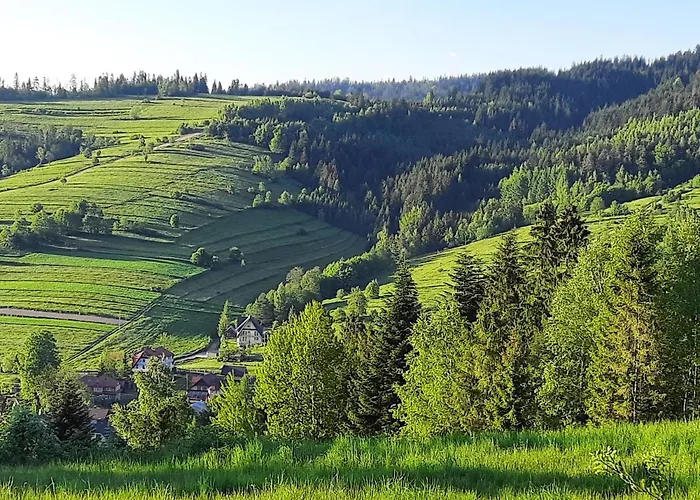 Na Szlaku Rikardo * Ponice